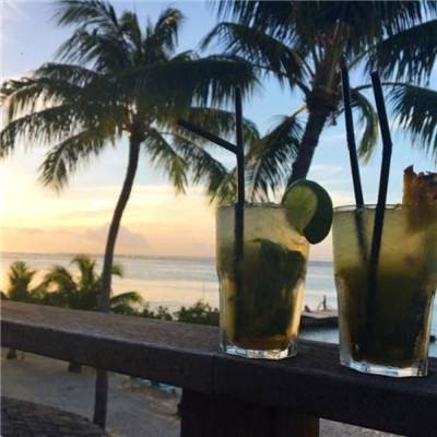 pg娱乐电子游戏官网